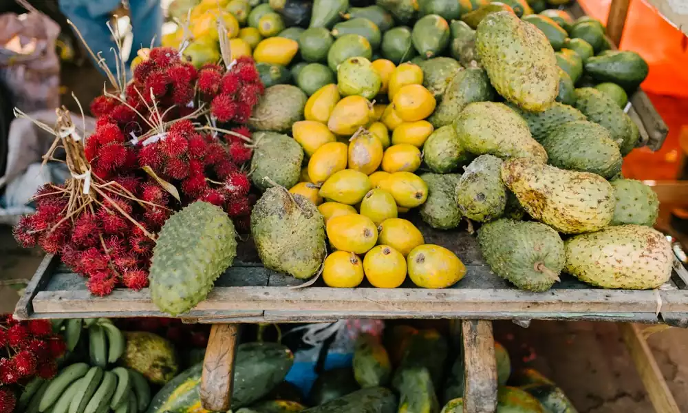 exotic fruits in kerala